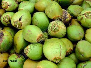 Natural Tender Coconut