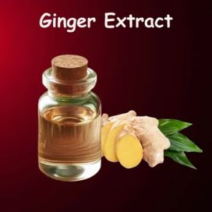 ginger extract