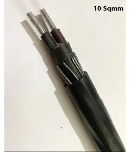 10Sqmm 2Core Aluminium Armoured Cable