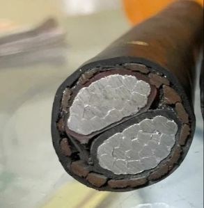 70 Sq.mm 2 Core Aluminium Armoured LT XLPE Cable