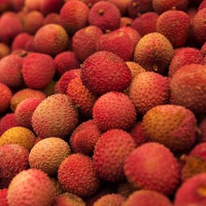 Assam Tezpur Fresh Litchi