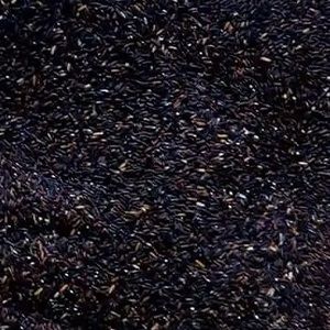 Premium Black Rice