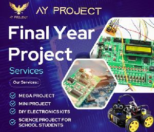 Final Year Project