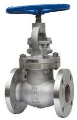 API Globe Valve
