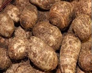 Taro Root