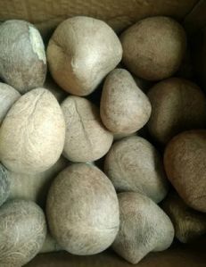Dried Whole Coconut
