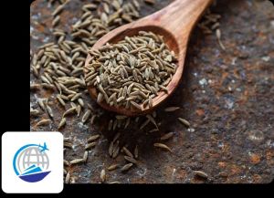 cumin seeds