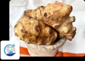 Jerusalem Artichoke