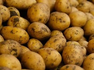 Fresh Potato, Color : Brown for Cooking, Frying, Boiling
