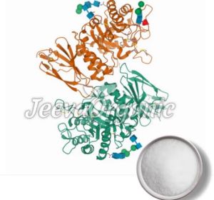 Alpha Galactosidase Powder