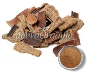 Eucommia Extract 10:1 Powder