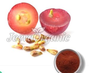 Grape Seed Powder