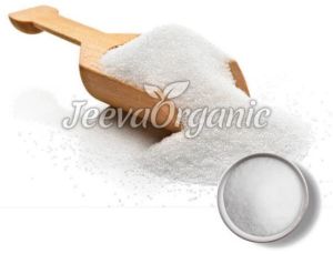 Sea Salt Powder