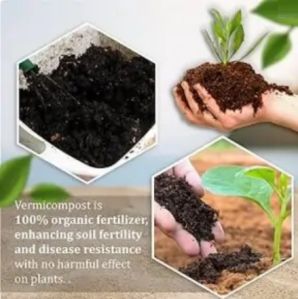 vermicompost fertilizer