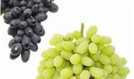 Fresh Grapes, Taste : Sweet Juicy