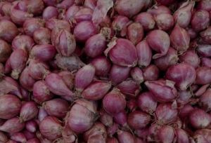 Quality Fresh Onions