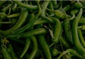 Spicy Green Chillies