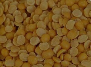Superior Toor Dal, Color : Yellow for Cooking