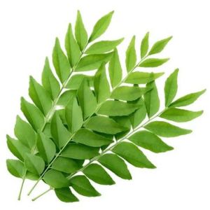 Curry Leaves