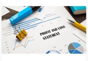 Profit and Loss Statement Service