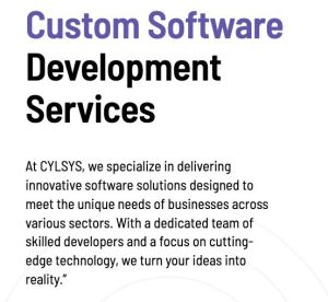 software development