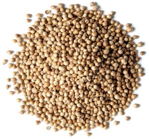 coriander seeds