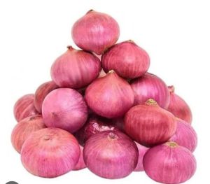 onions onions