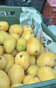 Badam Mango
