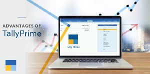 Accounting Services ( in Tally Prime)