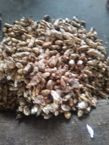 Taro Root