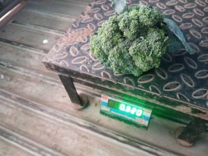 fresh broccoli, Quality Available : A Grade, Packaging Type : Green