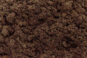 cow dung powder