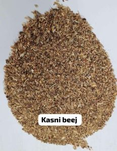 Kasni Beej