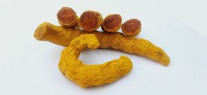 Waigaon Turmeric Powder