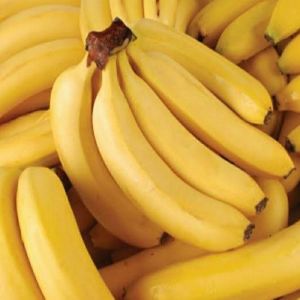Fresh Banana, Certification : FSSAI Certified for Human Consumption