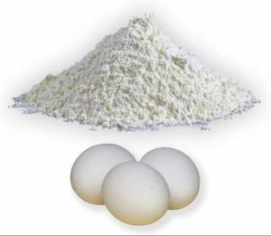 Egg Powder Egg Powder