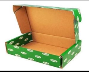 Custom Printed Corrugated Packaging Box