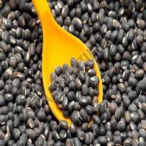 Whole Black Urad Dal