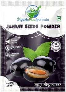 Blended 250gm Jamun Seeds Powder, Color : Brown