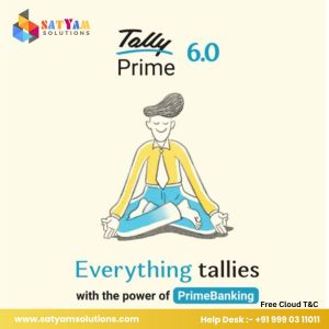 Tally Software Services