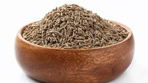 European Quality 99% Cumin Seed