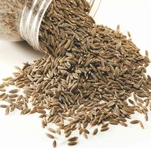 Singapore Quality 99% Cumin Seed