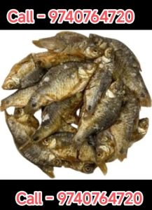 Fermented Dry Fish