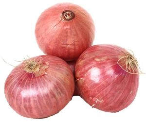 Fresh Garva Onion