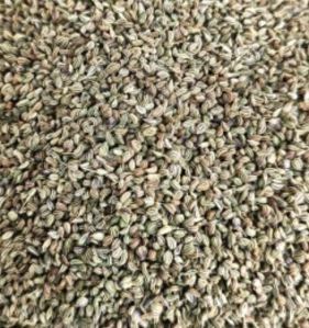 Fresh Ajwain Seed, Color : Brown, Packaging Size : 5Kg, 10Kg