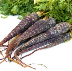 Fresh Black Carrot