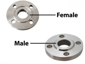 Krishna Carbon Steel Male Female Flange