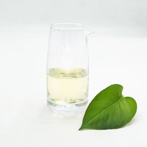 2-Methylbenzyl Chloride