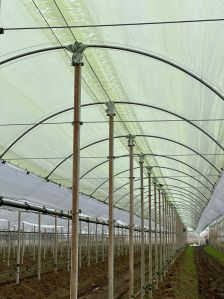 Shade Net House for Kiwi Orchard Structure