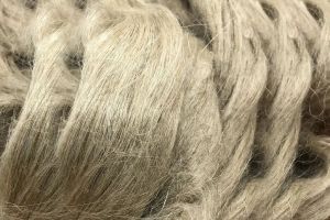 Fiber Flax Fiber
